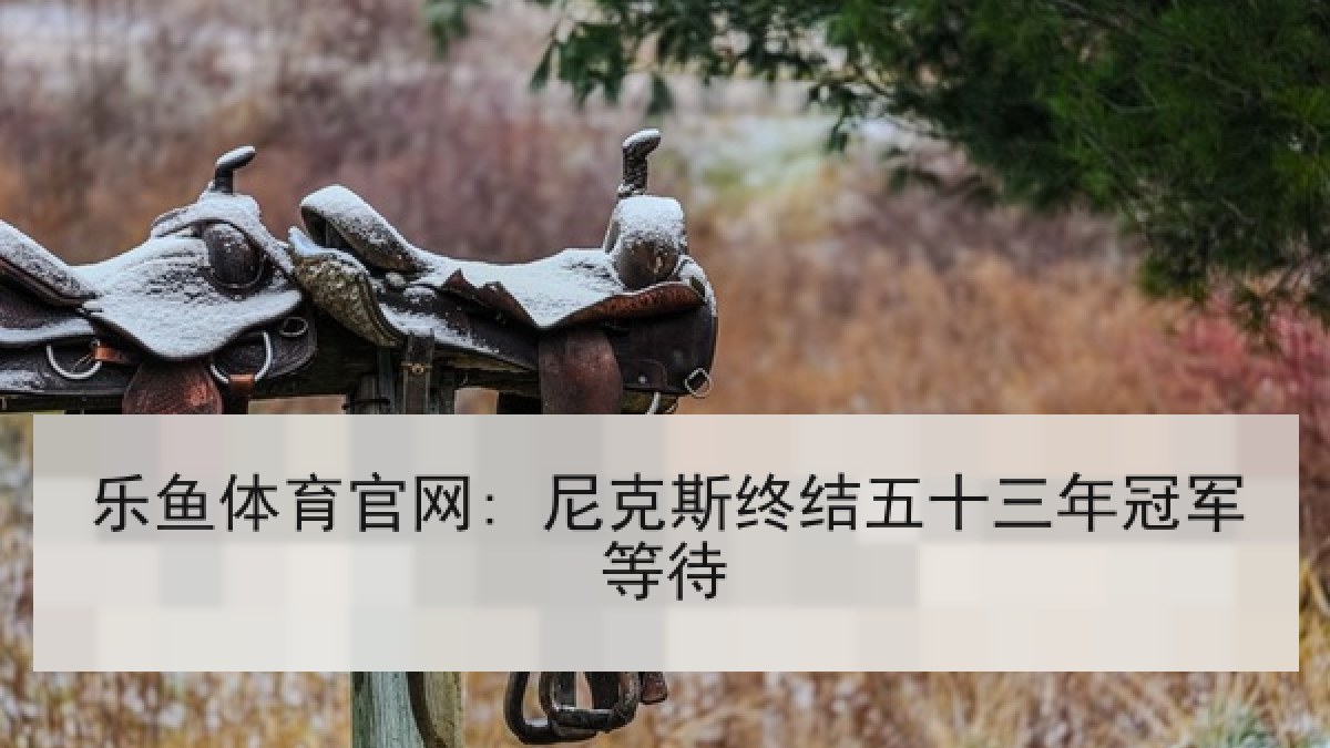 乐鱼体育官网: 尼克斯终结五十三年冠军等待 乐鱼体育官网: 尼克斯终结五十三年冠军等待